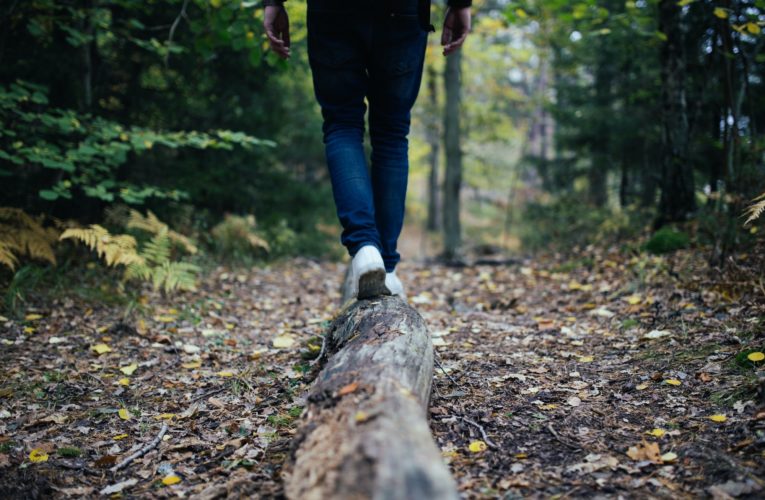Tips for Balancing your Hormones Naturally  in Lansing